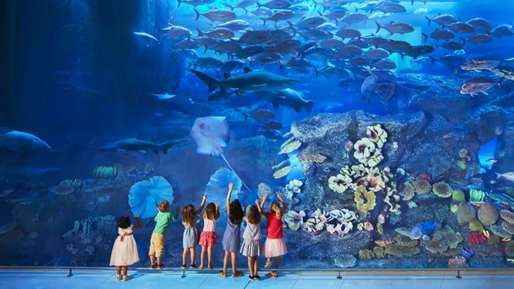 Dubai-Aquarium-and-Underwater-Zoo