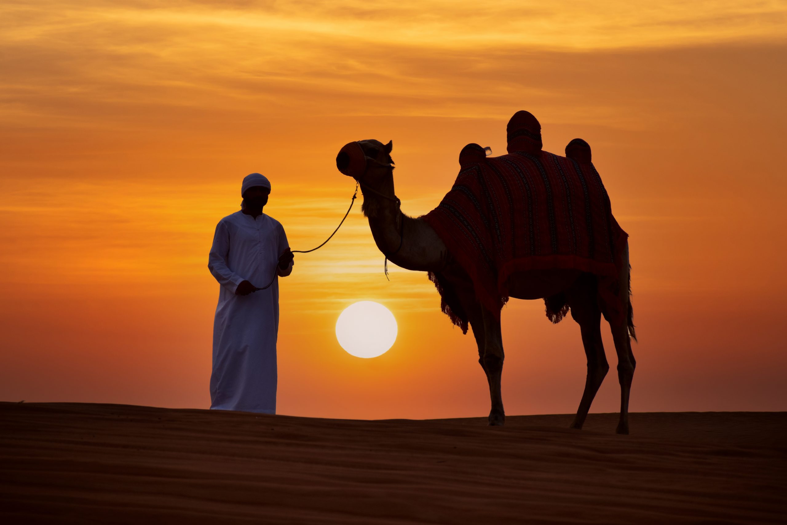Read more about the article Evening Desert Safari without ATV Ride